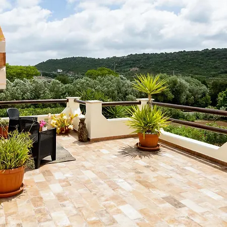 Saige , Piscina Con Idromassaggio Villa Alghero